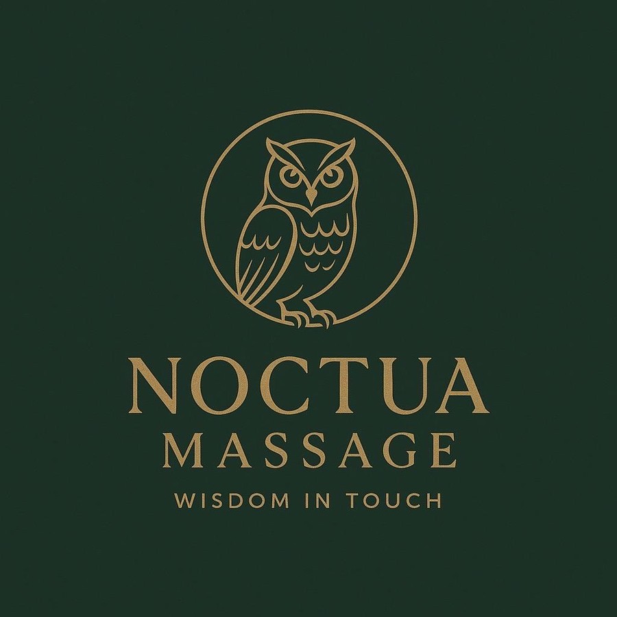 Noctua Massage logo